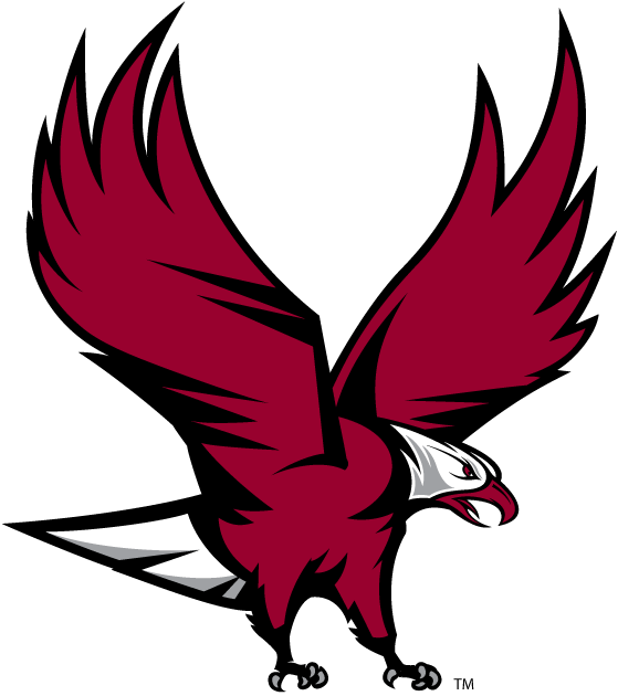 NCCU Eagles decals